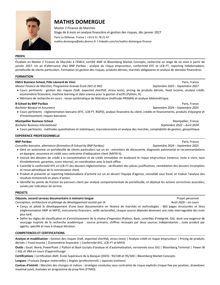 Curriculum vitae de Mathis Domergue, version française